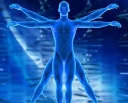 Whole body